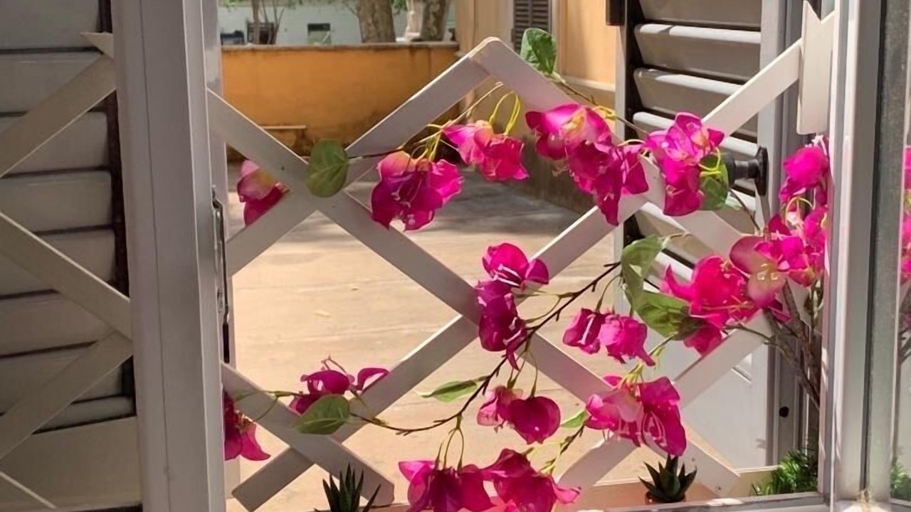 Photo of Outdoor in Testaccio