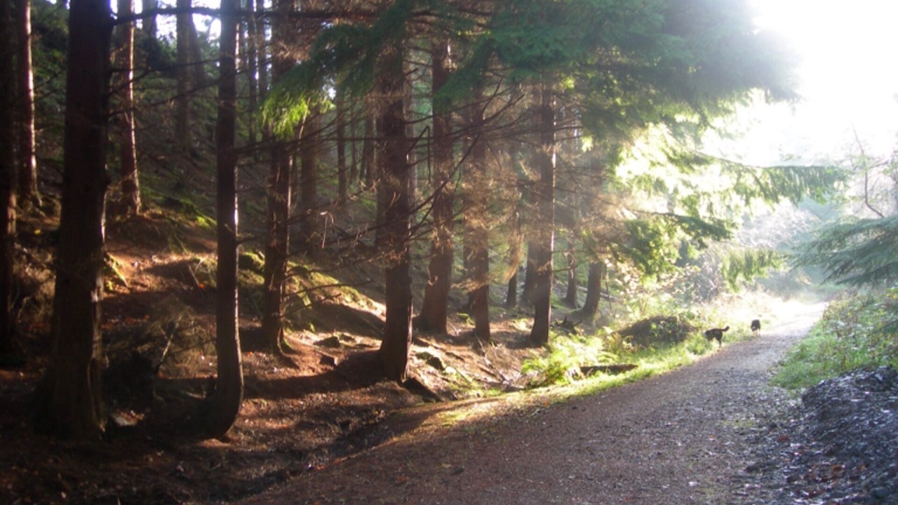 Photo of Outdoor in Londonderry