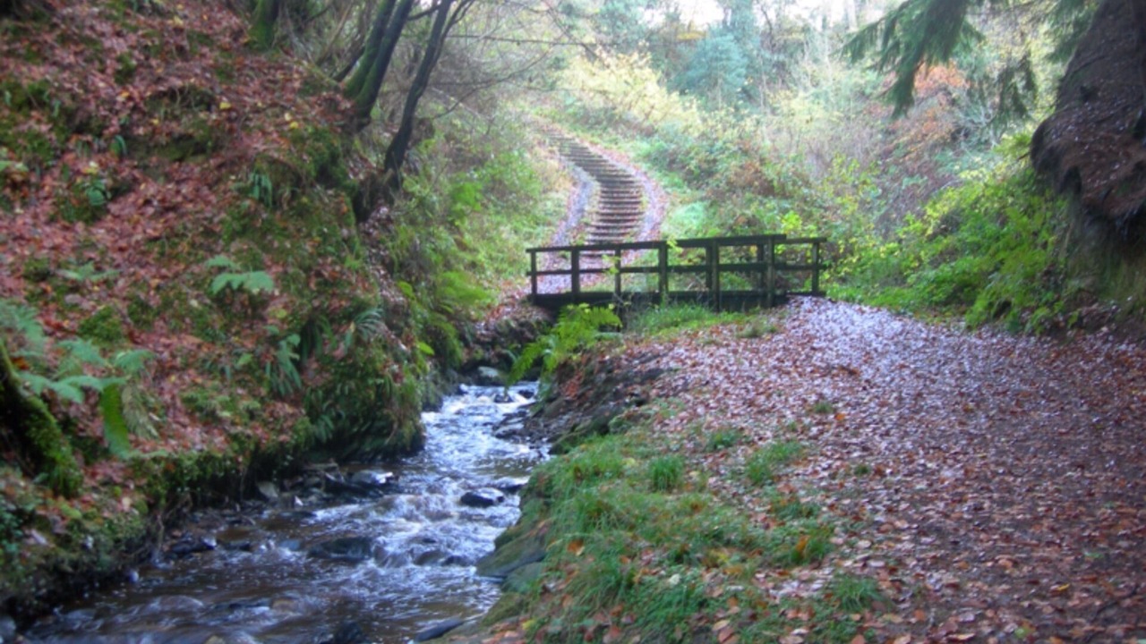 Photo of Outdoor in Londonderry