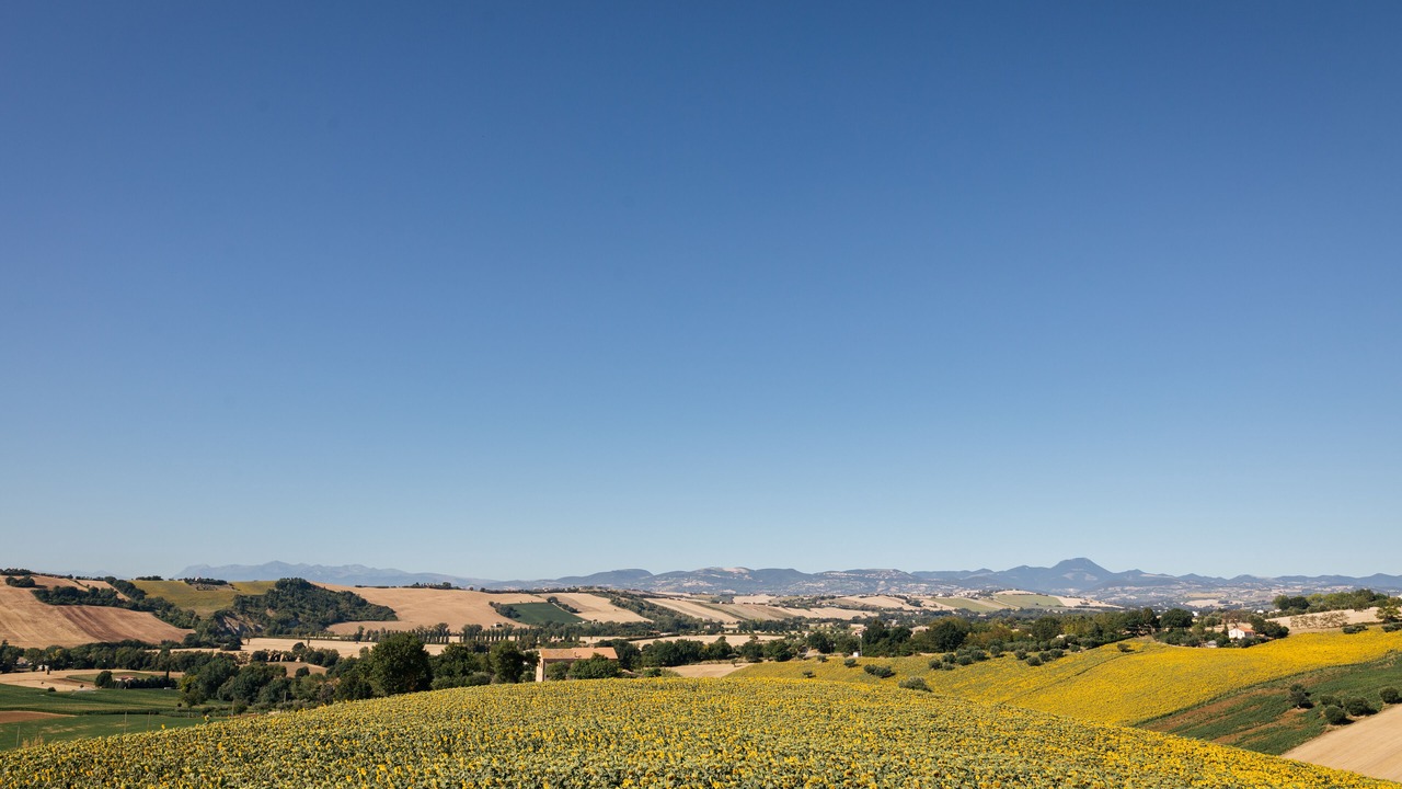 Photo of Others in Santa Maria Nuova