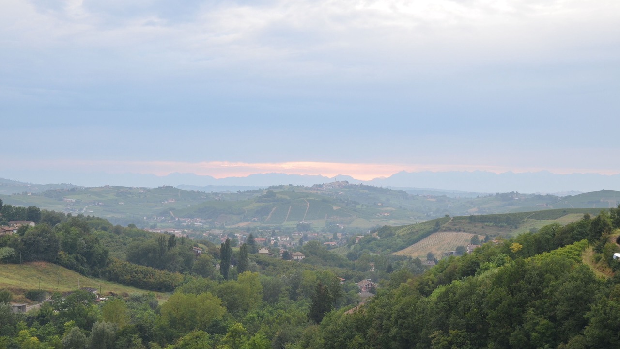 Photo of Others in Calamandrana