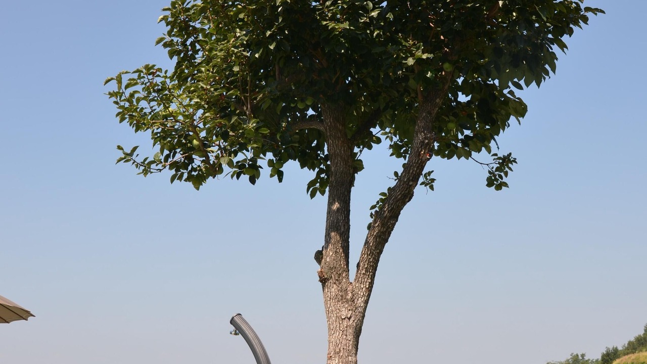 Photo of Outdoor in Calamandrana