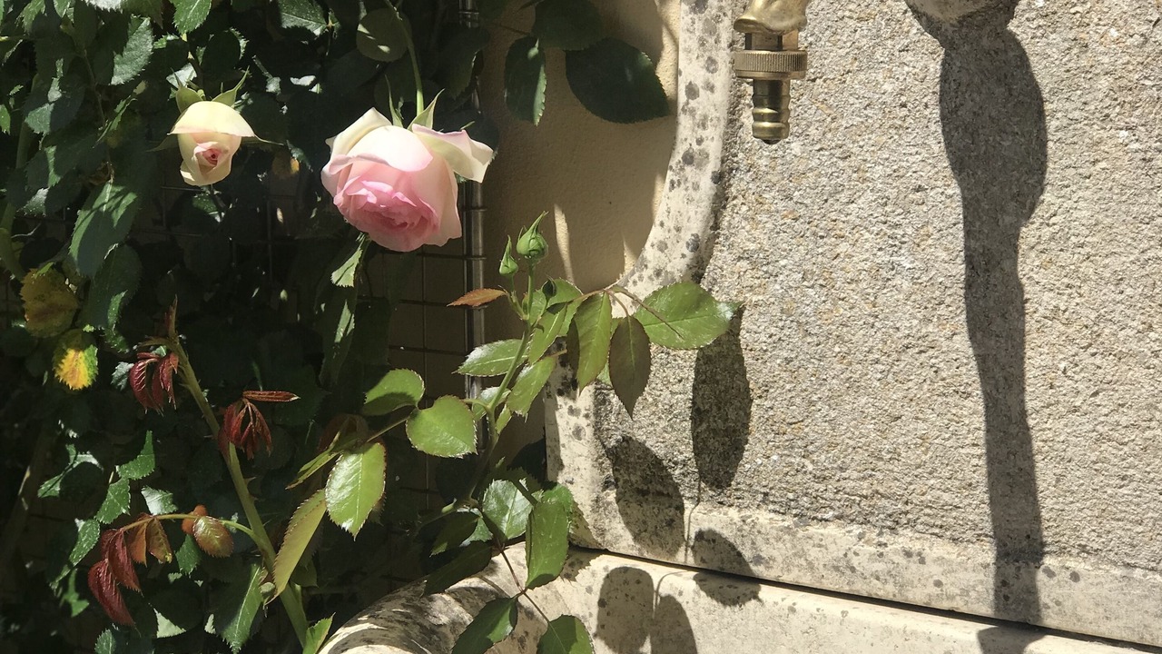 Photo of Outdoor in Oltrarno