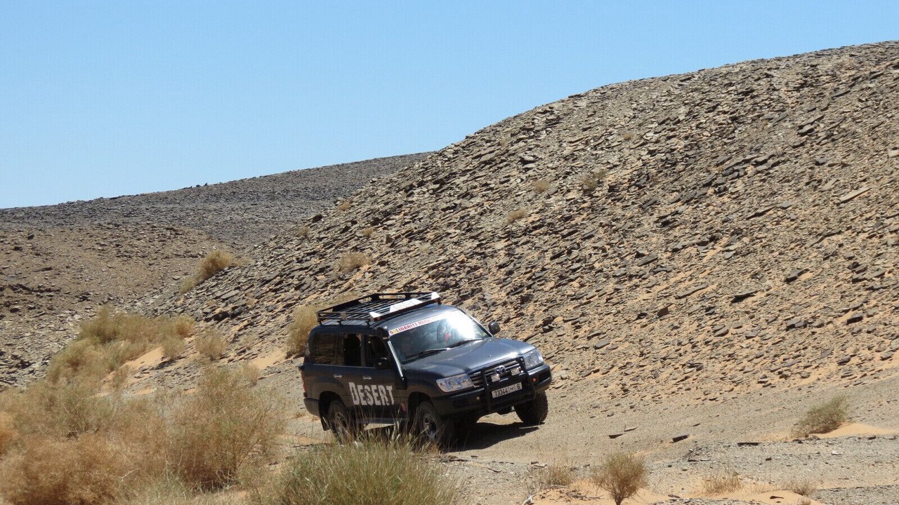 Photo of Others in Taouz