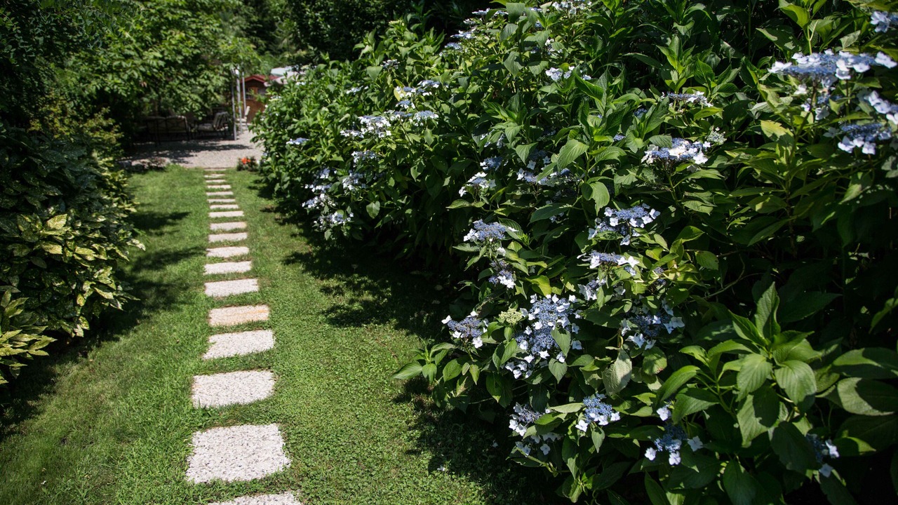 Photo of Outdoor in Cissano