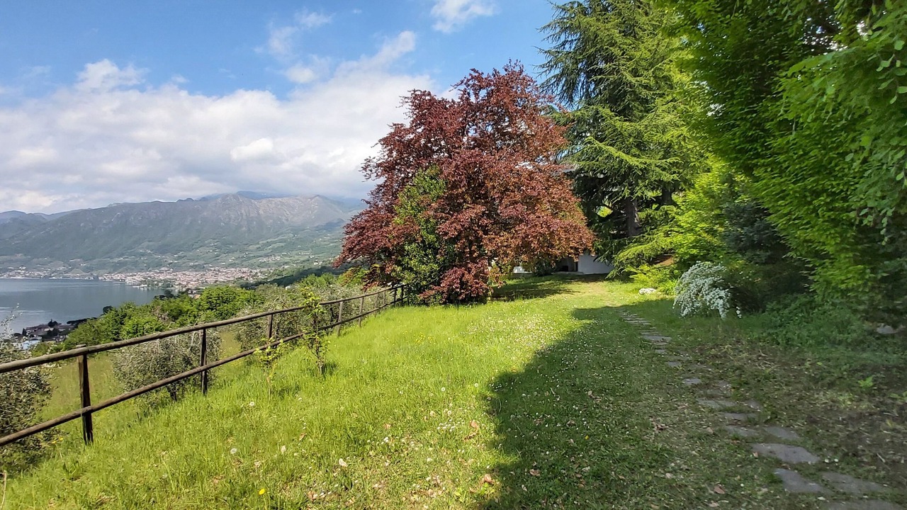 Photo of Outdoor in Sulzano