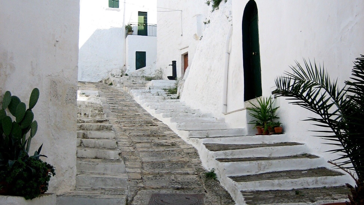 Photo of Outdoor in Torre Santa Sabina