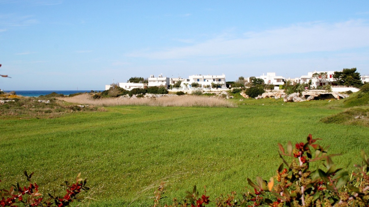 Photo of Outdoor in Torre Santa Sabina