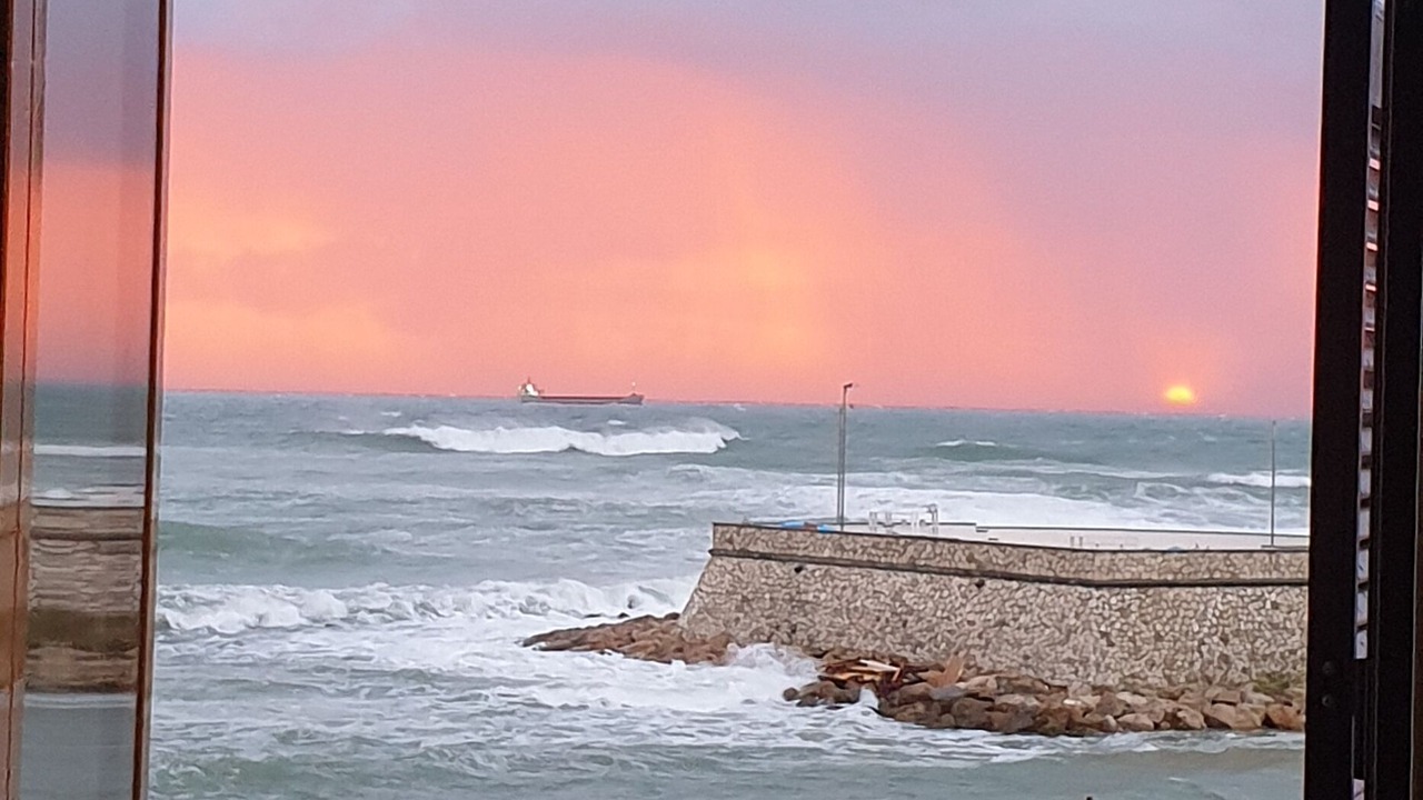 Photo of Others in Civitavecchia