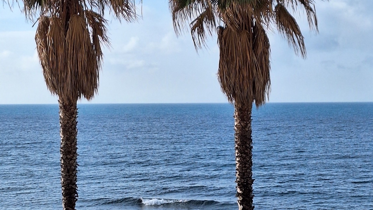 Photo of Outdoor in Civitavecchia