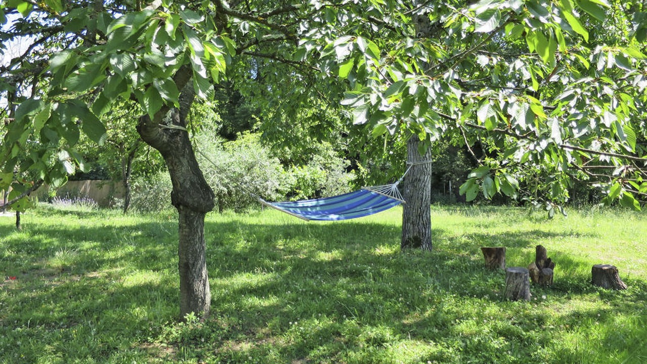 Photo of Outdoor in Laterina