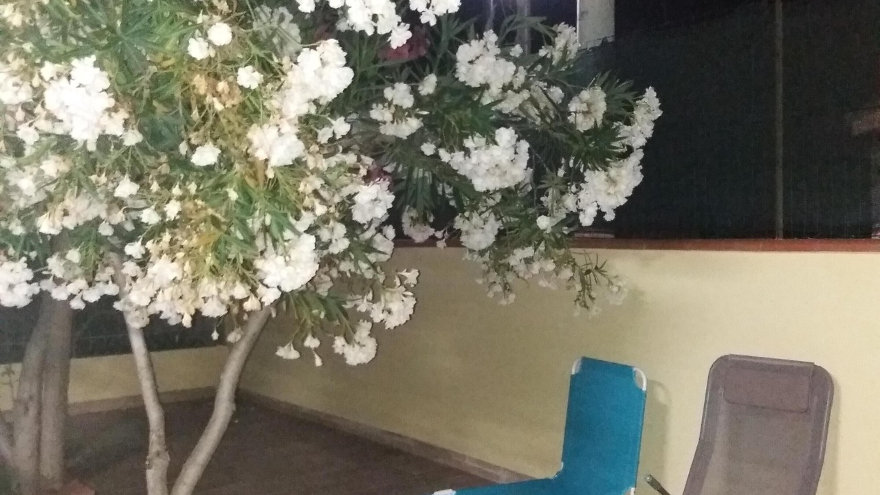 Photo of Patio Balcony in Solfarelli