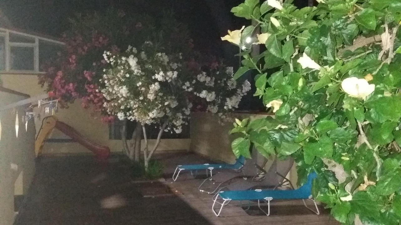 Photo of Patio Balcony in Solfarelli