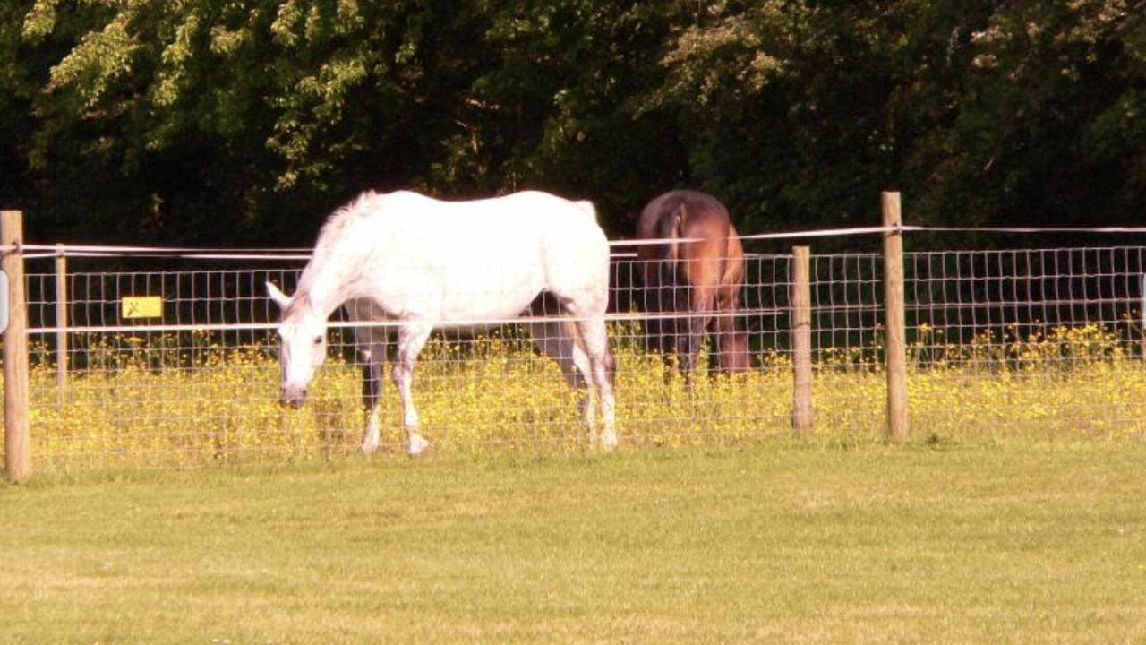 Photo of Others in Saintbury