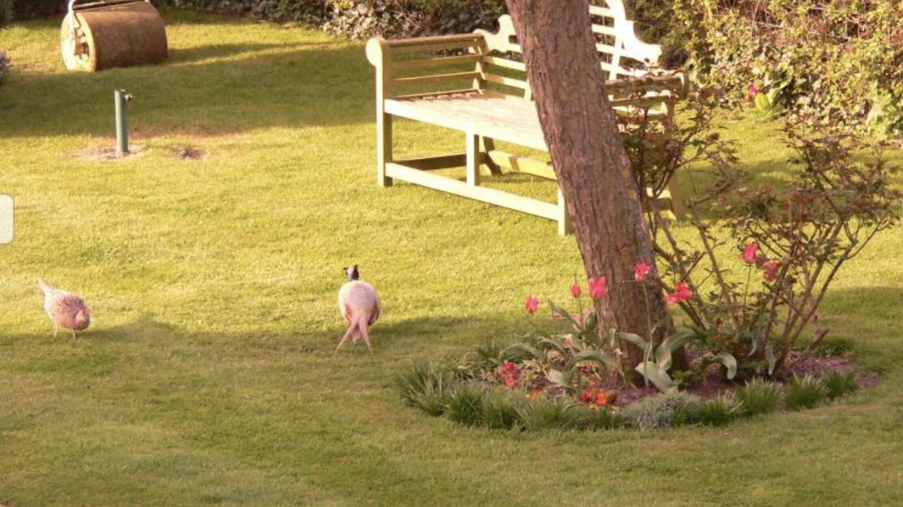 Photo of Others in Saintbury