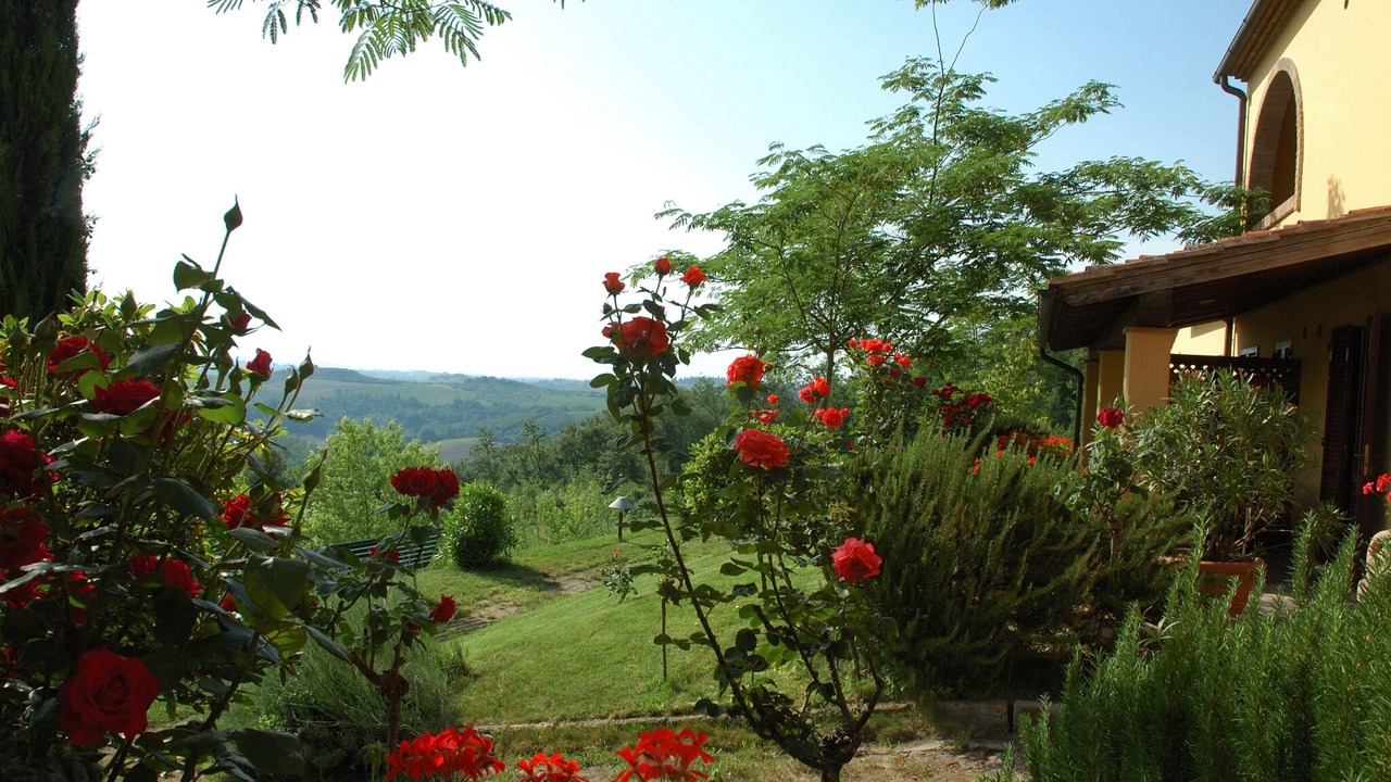 Photo of Outdoor in Montespertoli