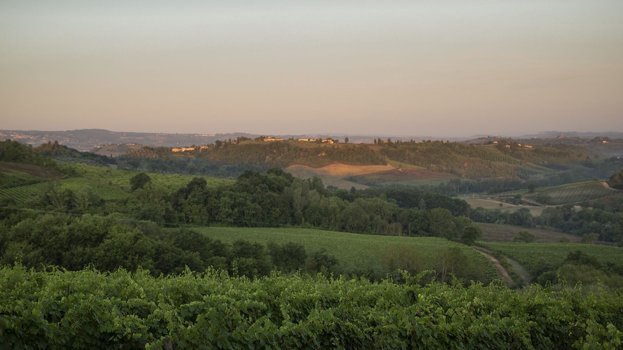 Photo of Others in Montespertoli
