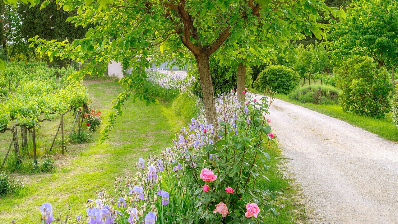 Photo of Outdoor in Spello