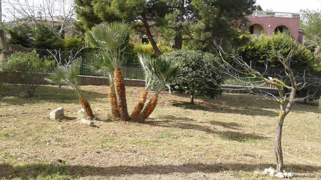 Photo of Outdoor in Noto Marina