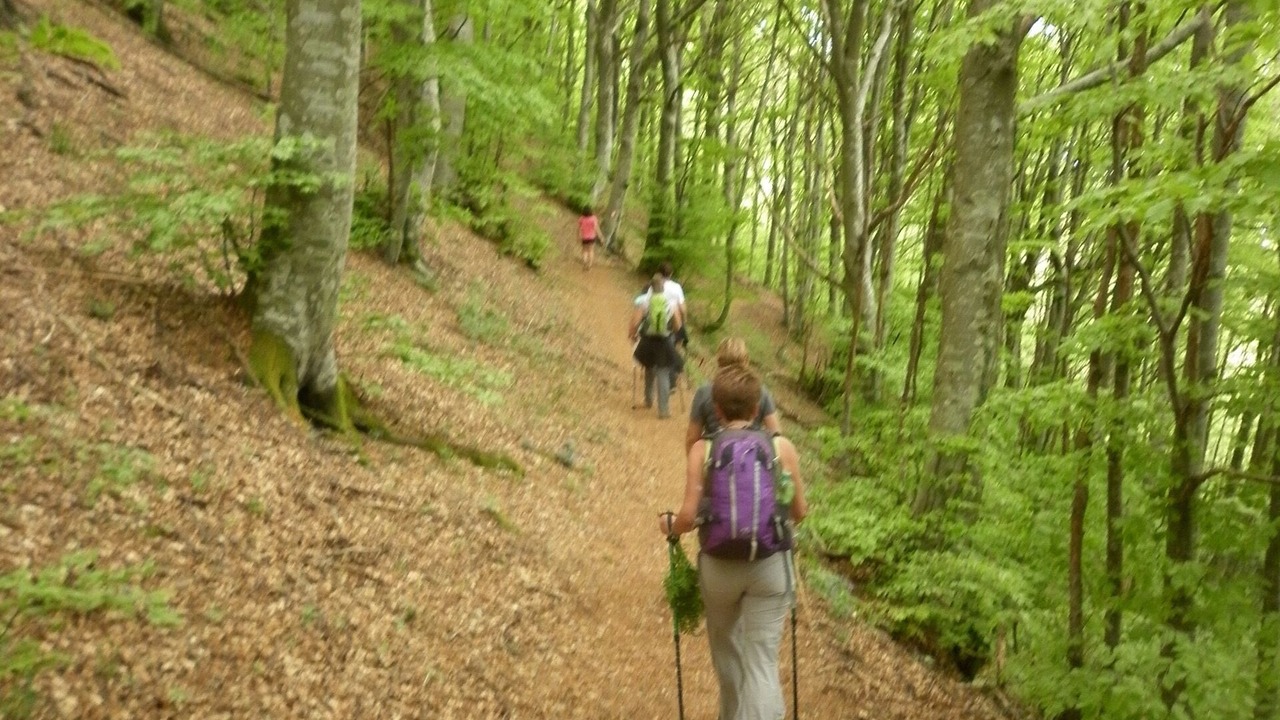 Photo of Outdoor in Sassoferrato