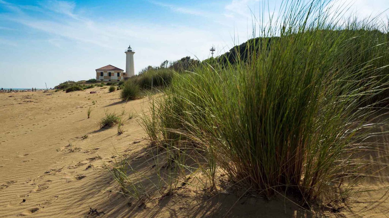 Photo of Others in Bibione Pineda