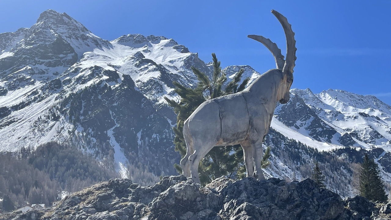 Photo of Outdoor in Solda