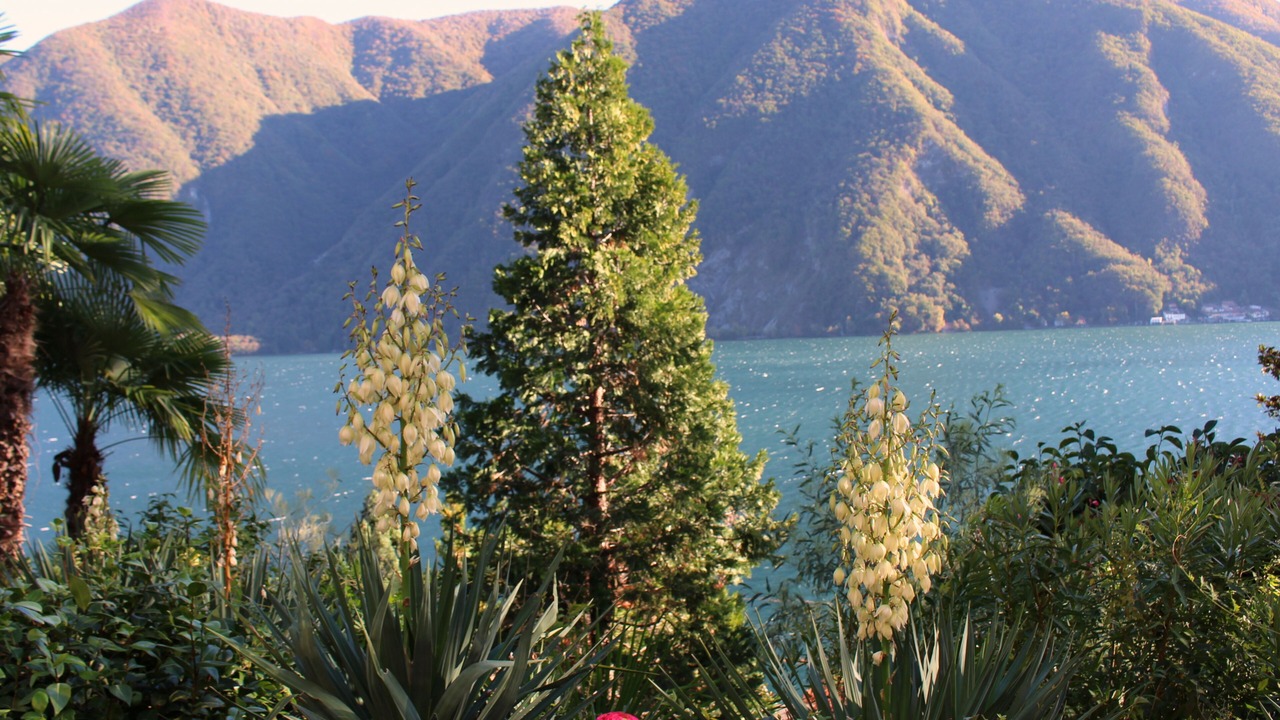 Photo of Outdoor in Castagnola