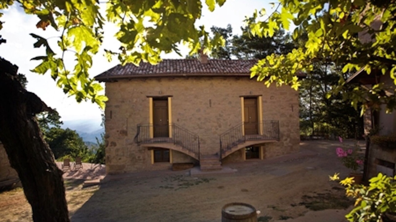 Photo of Others in Grizzana Morandi