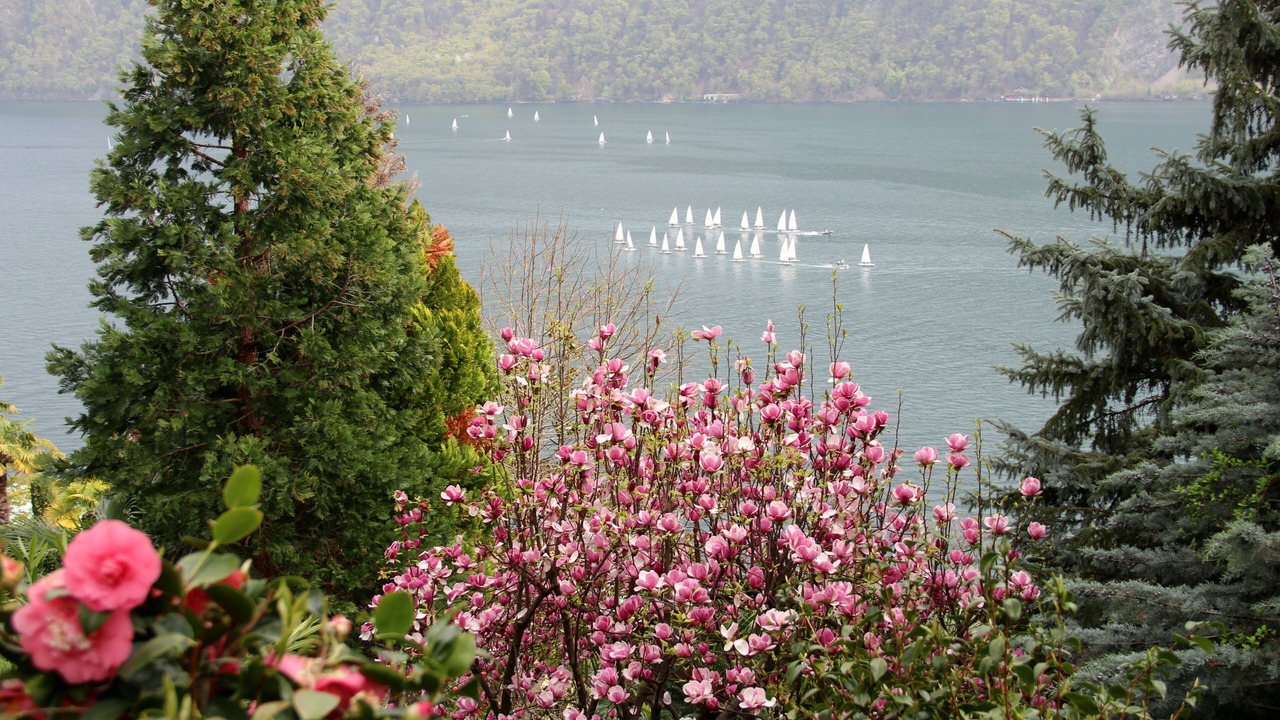 Photo of Outdoor in Castagnola