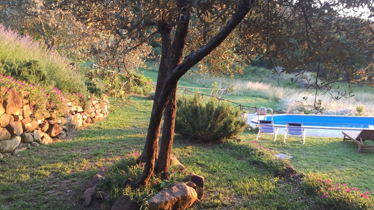 Photo of Outdoor in Greve in Chianti