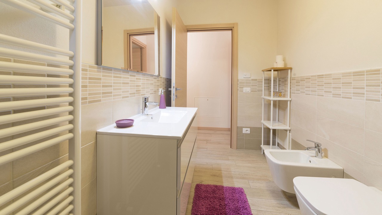 Photo of Bathroom in Albisano