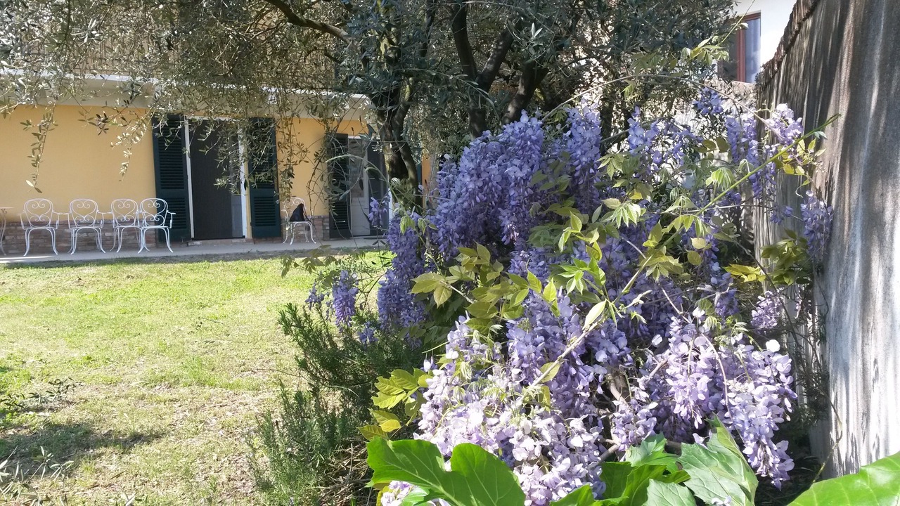 Photo of Outdoor in Casalborgone