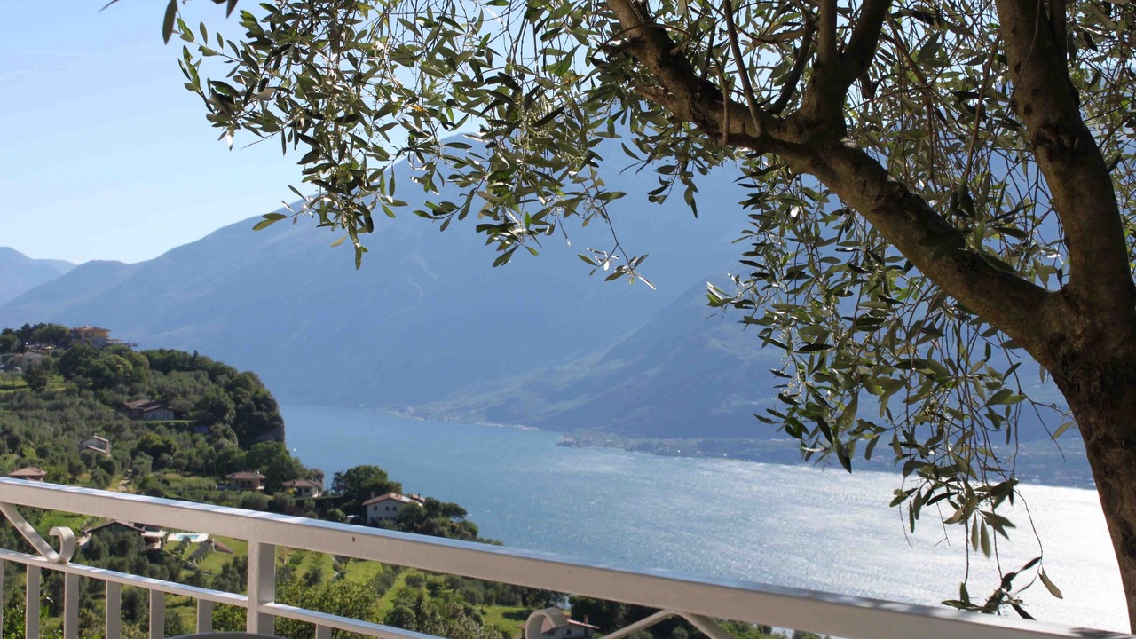 Photo of Outdoor in Arias