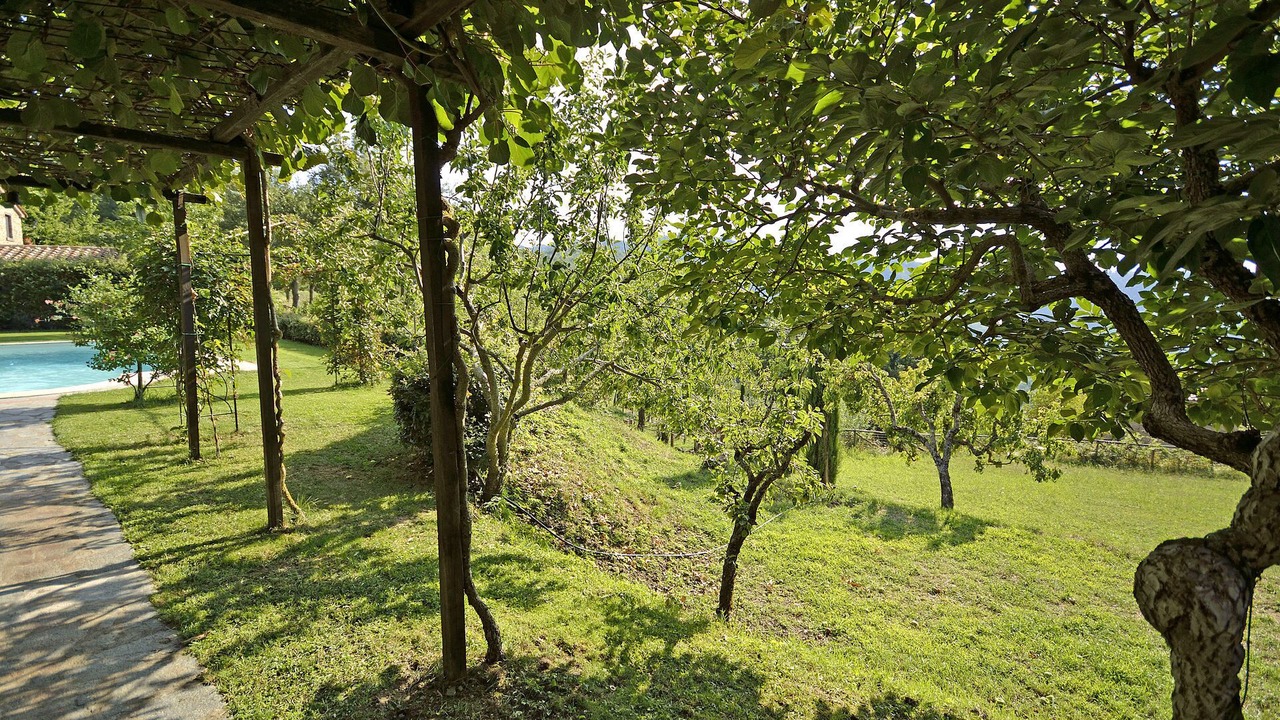 Photo of Outdoor in Pieve di Chio