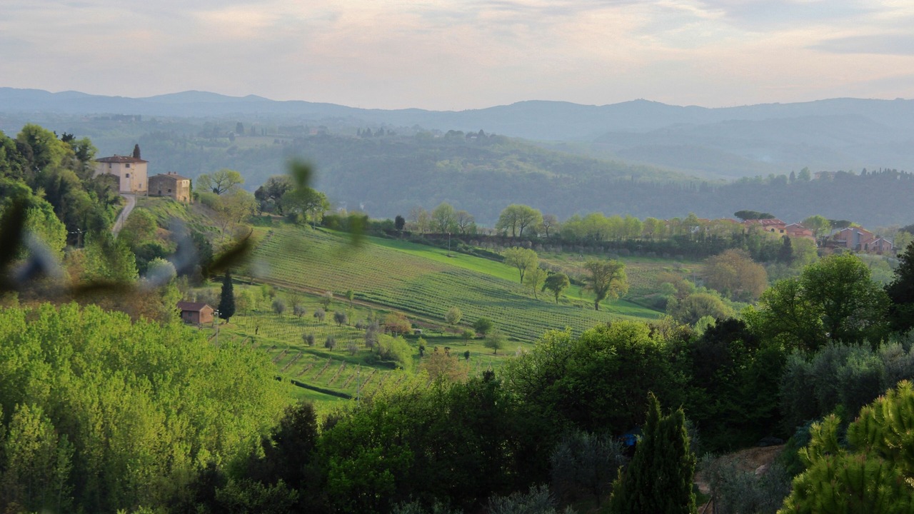 Photo of Others in Poggibonsi