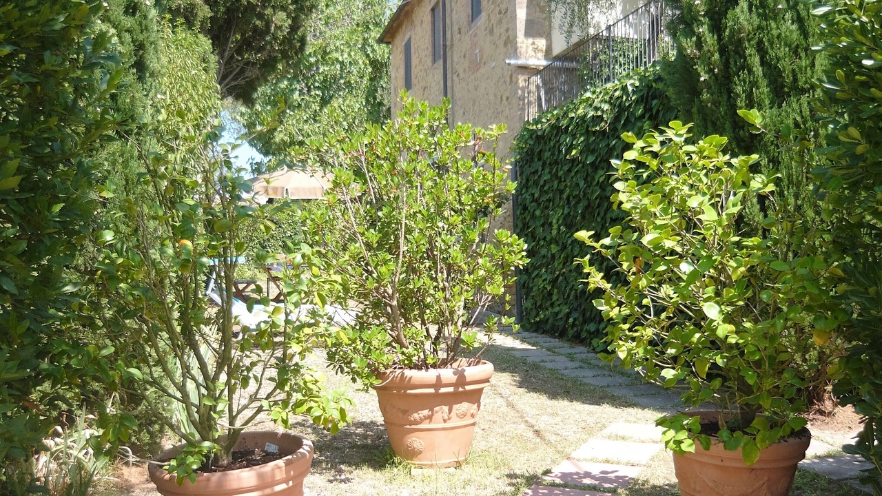 Photo of Outdoor in Poggibonsi