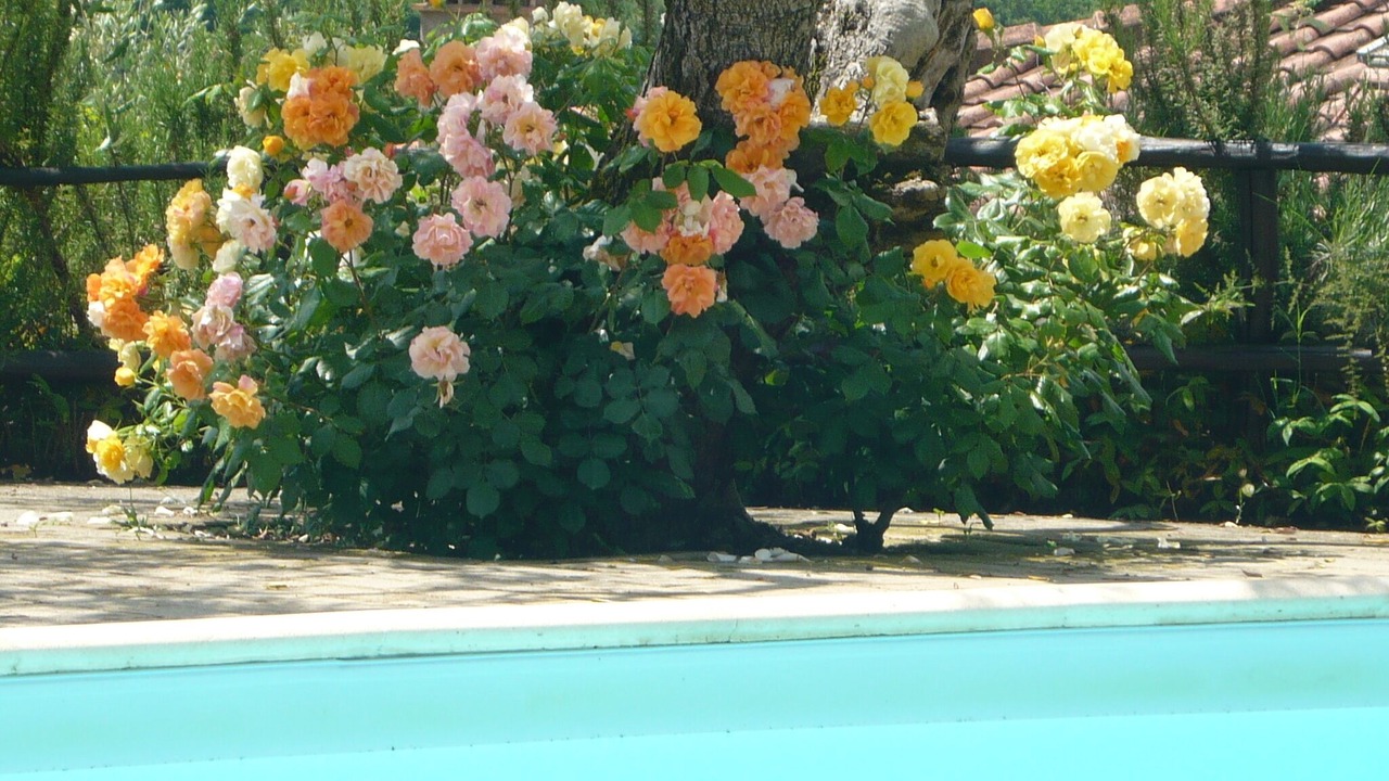 Photo of Outdoor in Poggibonsi