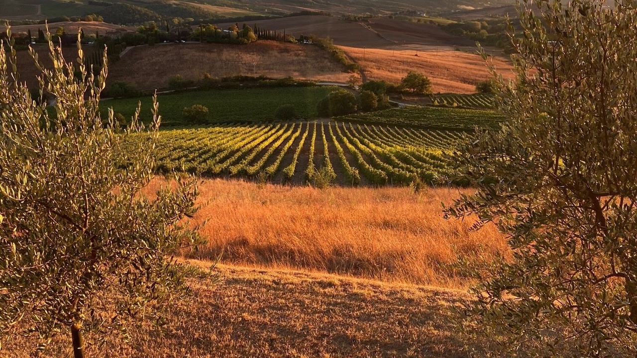 Photo of Outdoor in Castellina in Chianti