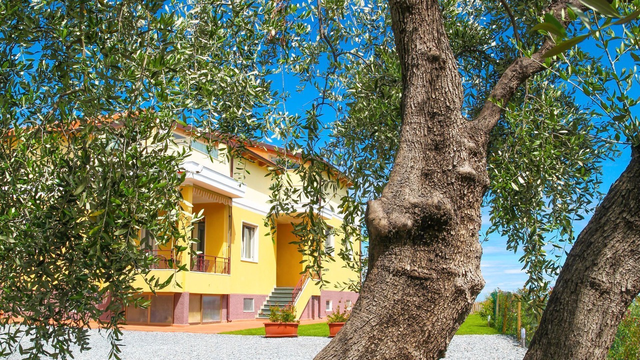 Photo of Outdoor in Diano Marina