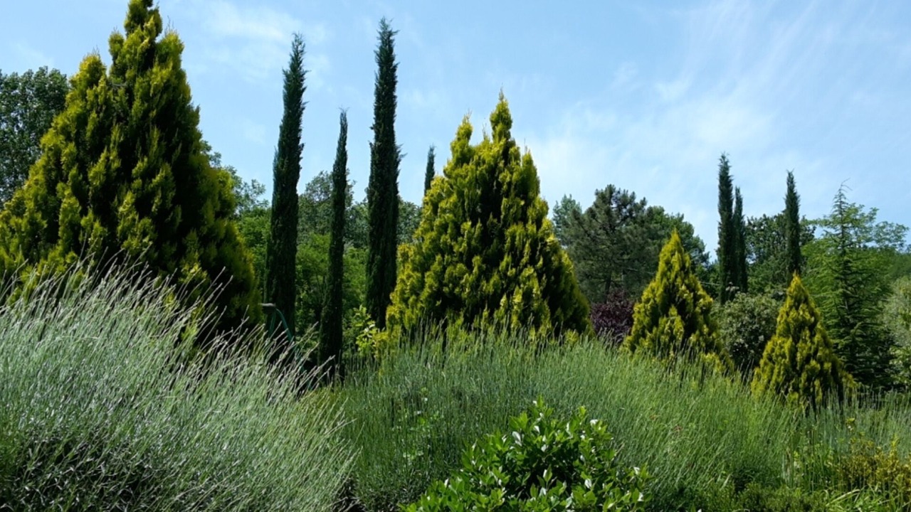 Photo of Outdoor in Figline e Incisa Valdarno