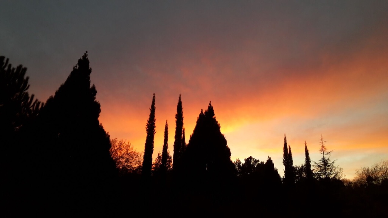 Photo of Outdoor in Figline e Incisa Valdarno