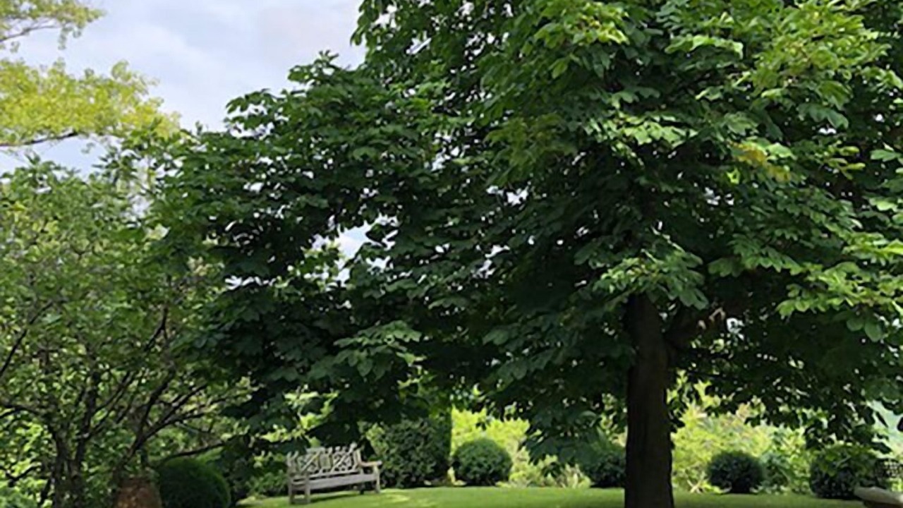 Photo of Outdoor in Bussolino