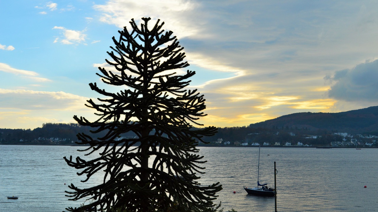 Photo of Others in Kilmun