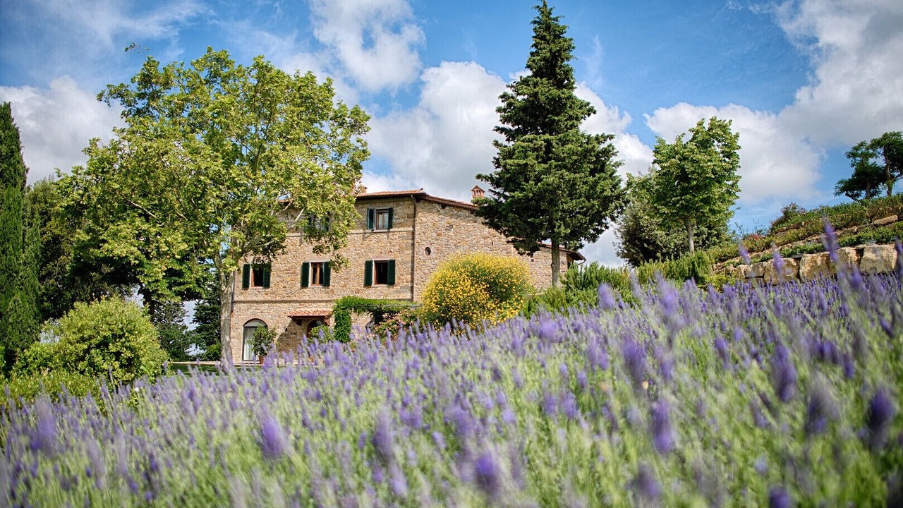 Photo of Outdoor in Panzano in Chianti
