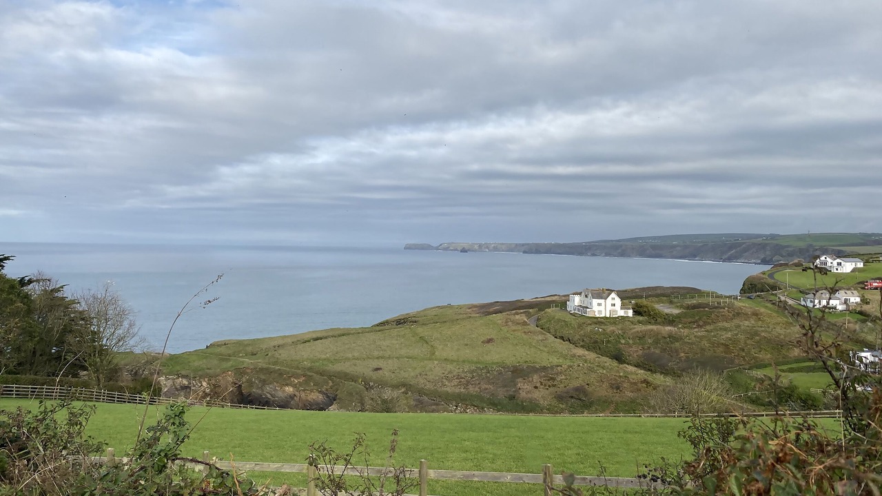 Photo of Others in Port Isaac