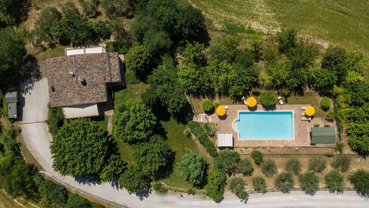 Photo of Outdoor in Pergola