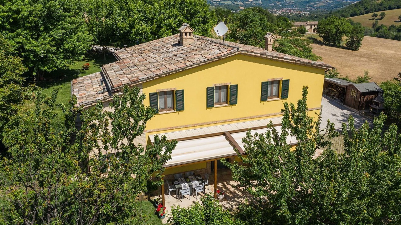 Photo of Outdoor in Pergola