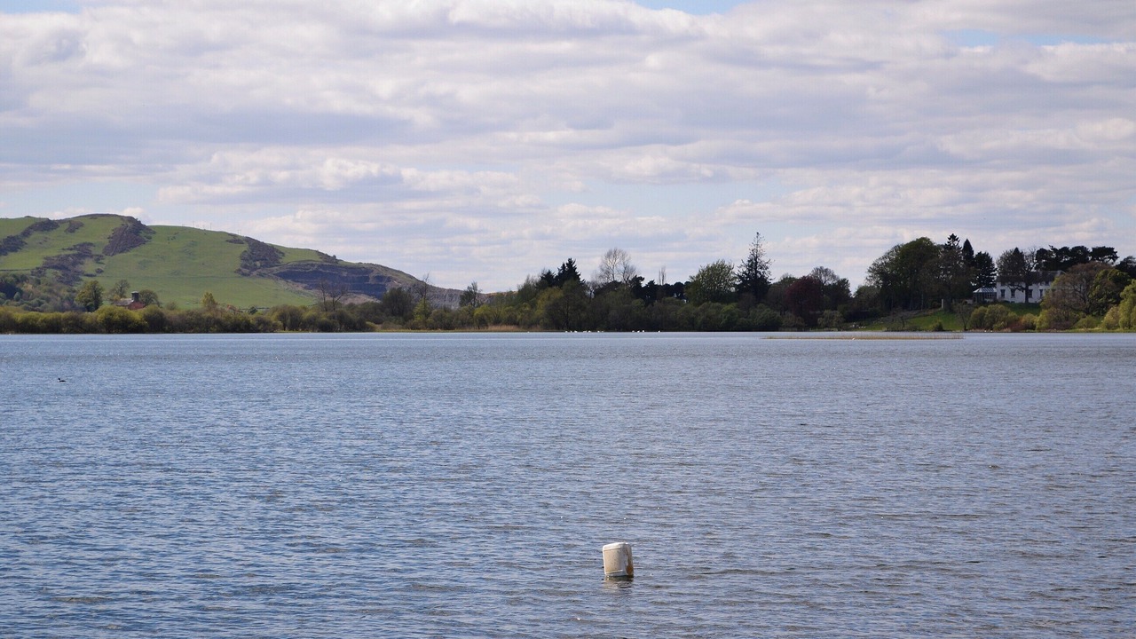 Photo of Others in Cupar