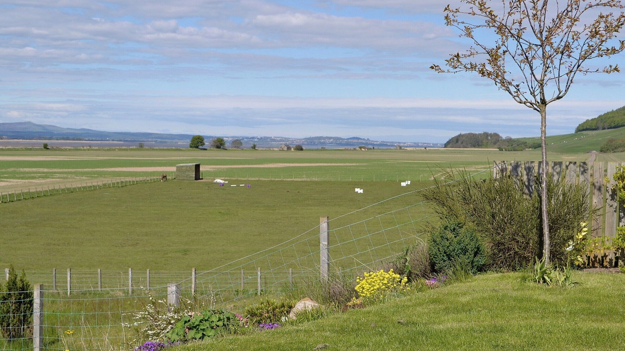 Photo of Others in Cupar