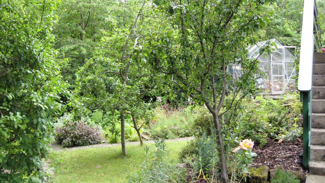 Photo of Outdoor in St. Andrews